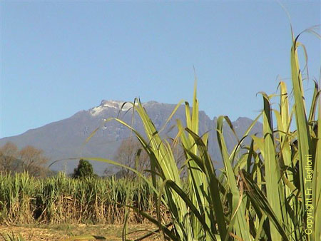 Le piton des neiges
