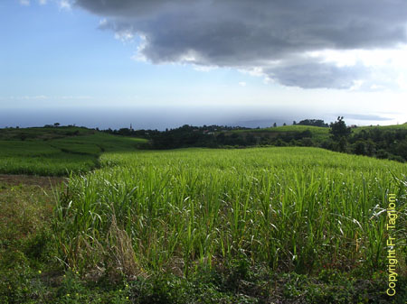 Vue de Tan Rouge