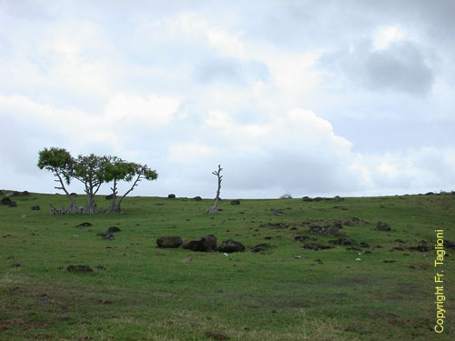 L'Est de Rodrigues 1